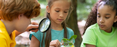 Foto s2-ilmu-lingkungan