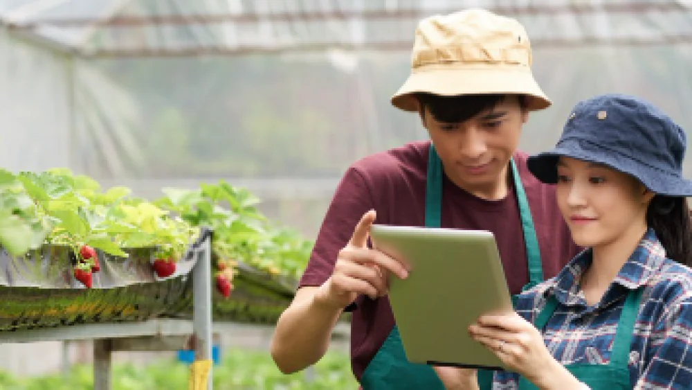 15 Rekomendasi Judul Skripsi S1 Agribisnis Terbaik Biar Cepat Lulus