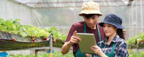 Kuliah S1 Agribisnis Prospek dan Gelar Sarjana